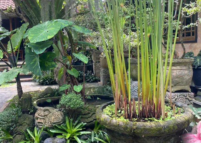 Gus Arditya Ubud