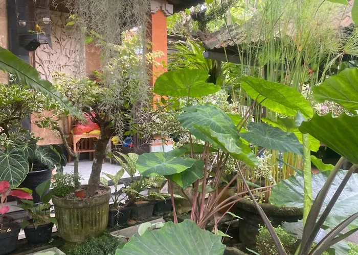 Séjour chez l'habitant Gus Arditya *