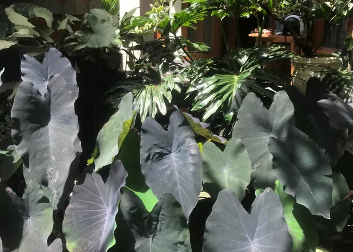 Gus Arditya Séjour chez l'habitant Ubud