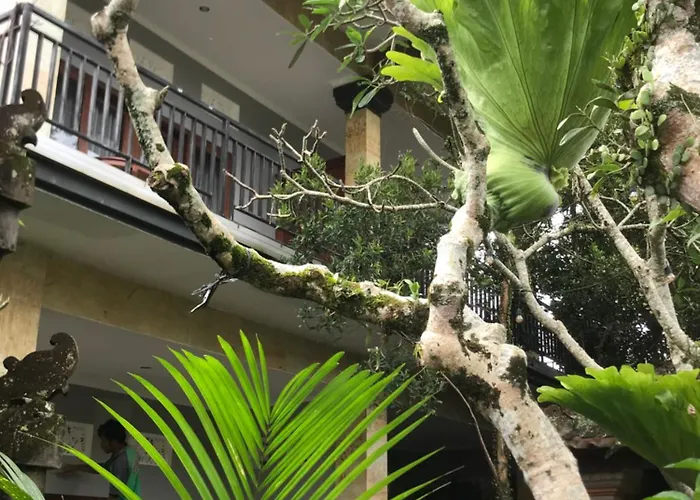 Séjour chez l'habitant Gus Arditya Ubud