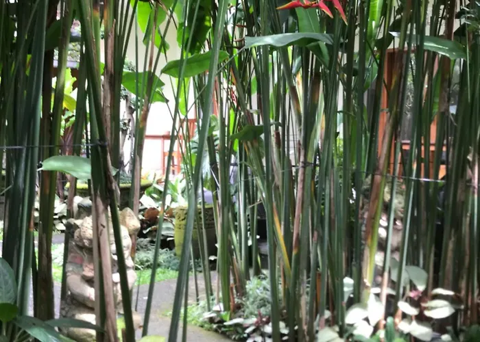 Gus Arditya Séjour chez l'habitant Ubud