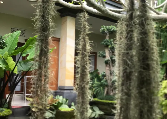 Gus Arditya Séjour chez l'habitant Ubud